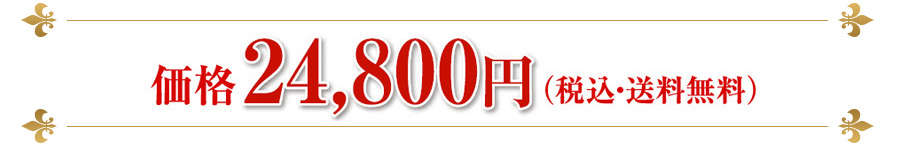 価格24,800円（税込・送料無料）