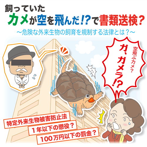 飼っていたカメが空を飛んだ で書類送検 契約書の雛形 書式 書き方が無料 弁護士監修400種類 マイ法務